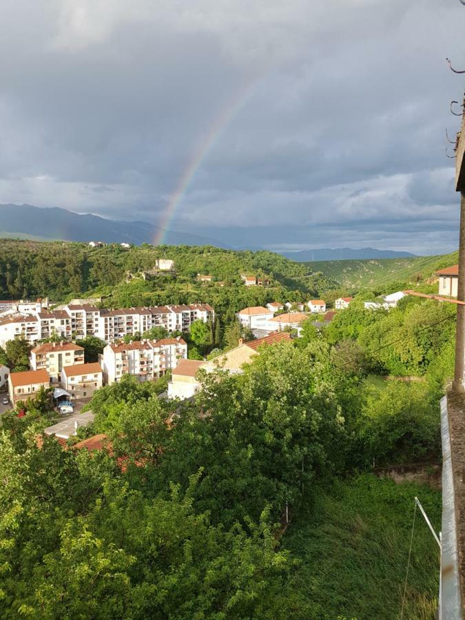 Apartma 51